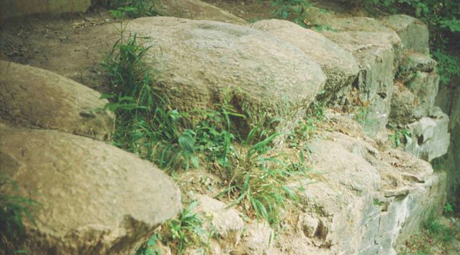 Erdzeitalter Erdzeitalter. Die Stromatolithen in Sachsen-Anhalt.