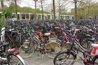 Eierfeile, Fahrräder in Osnabrück, Jugendwort des Jahres