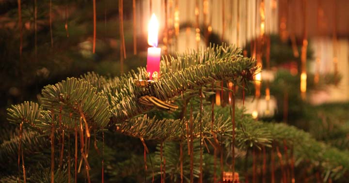 An Weihnachten blühen Kirschen - Bräuche im Advent