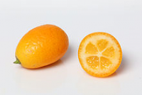 Die Kumquat Zitrusfrucht