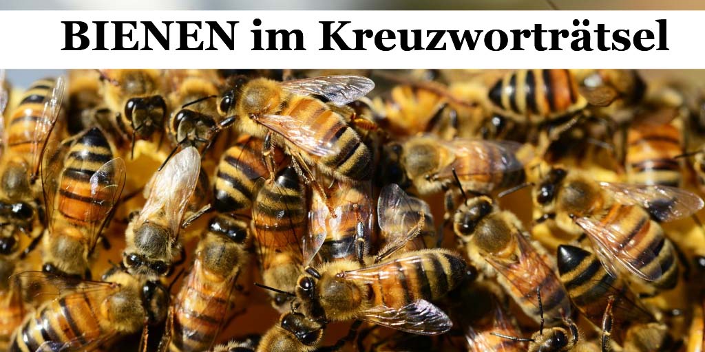 Kreuzworträtsel Suchen Kreuzworträtsel Suchen