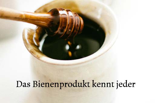 Bienenprodukt im Kreuzwortraetsel