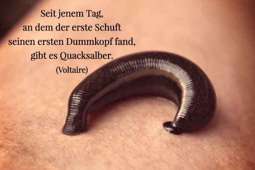 Bedrohte schoene Woerter Afterazt