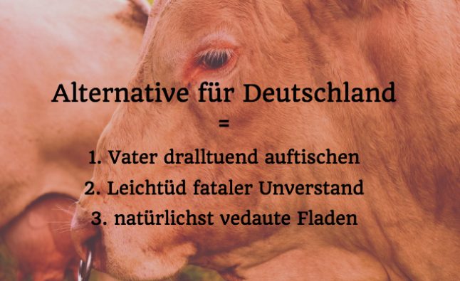 AfD Alternative für Deutschland