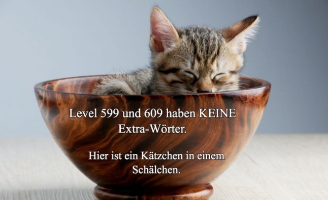 Wort Kreuz Level Lösungen
