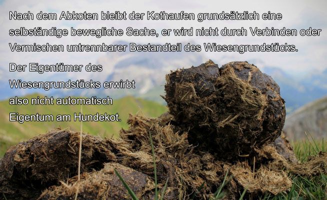 Amtsdeutsch Hundecode