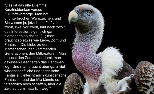 Heißzeit Wort des Jahres 2018