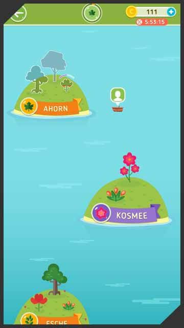 Blumen und Baeume