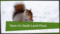 tiere fuer stadt land fluss
