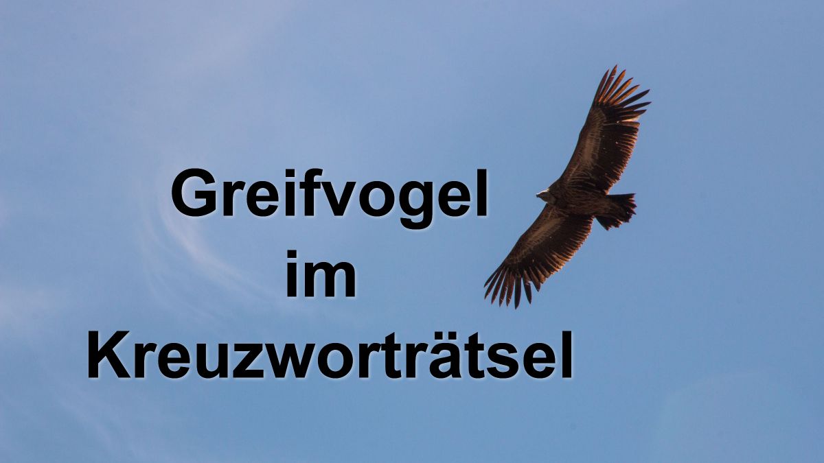 Der Greifvogel im Kreuzworträtsel