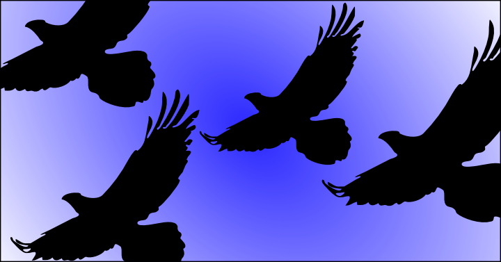Der Rabenvogel – Unheil, Weisheit, Mythen