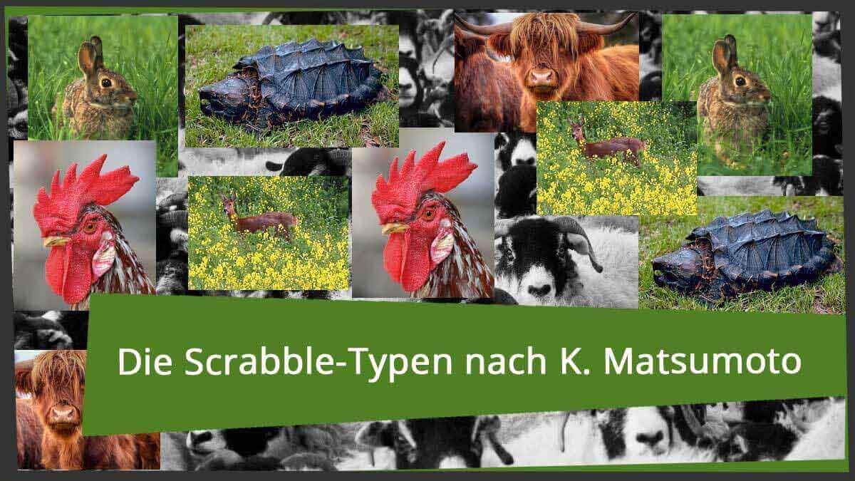 Schaf oder Schildkröte – Welcher Scrabble-Typ bist du?