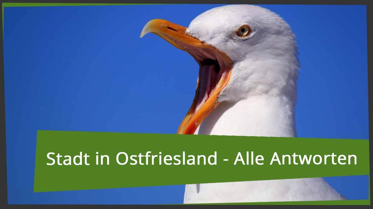 Stadt in Ostfriesland? - Kreuzworträtsel-Tipps