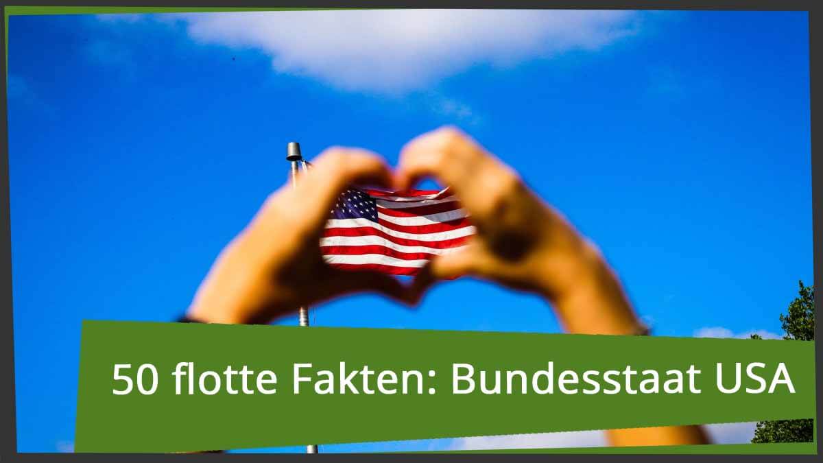 Fünfzig flotte Fakten: Bundesstaat der USA